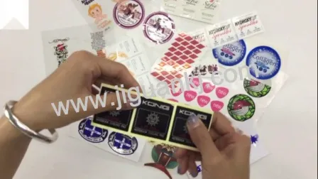 Adesivo per pianificatore di fogli adesivi con stampa colorata